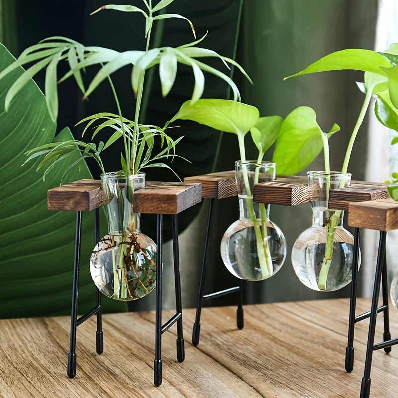 Holzrahmen Hydro ponik Pflanzen vasen transparentes Glas Blumentopf Terrarium Tisch dekoration