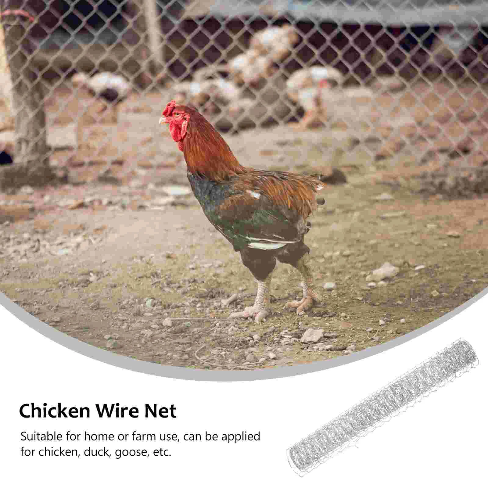 

Decorative Mesh Chicken Wire Netting Metal Fence Silk Screen Out Dogs Livestock Galvanized Garden Hexagonal Craft Plants