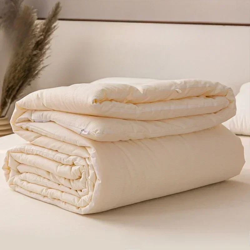 Cotton Soybean Fiber Quilt Spring Autumn Summer Cool Soft and Comfortable Blanket Double Winter Blanket in Student Dormitory