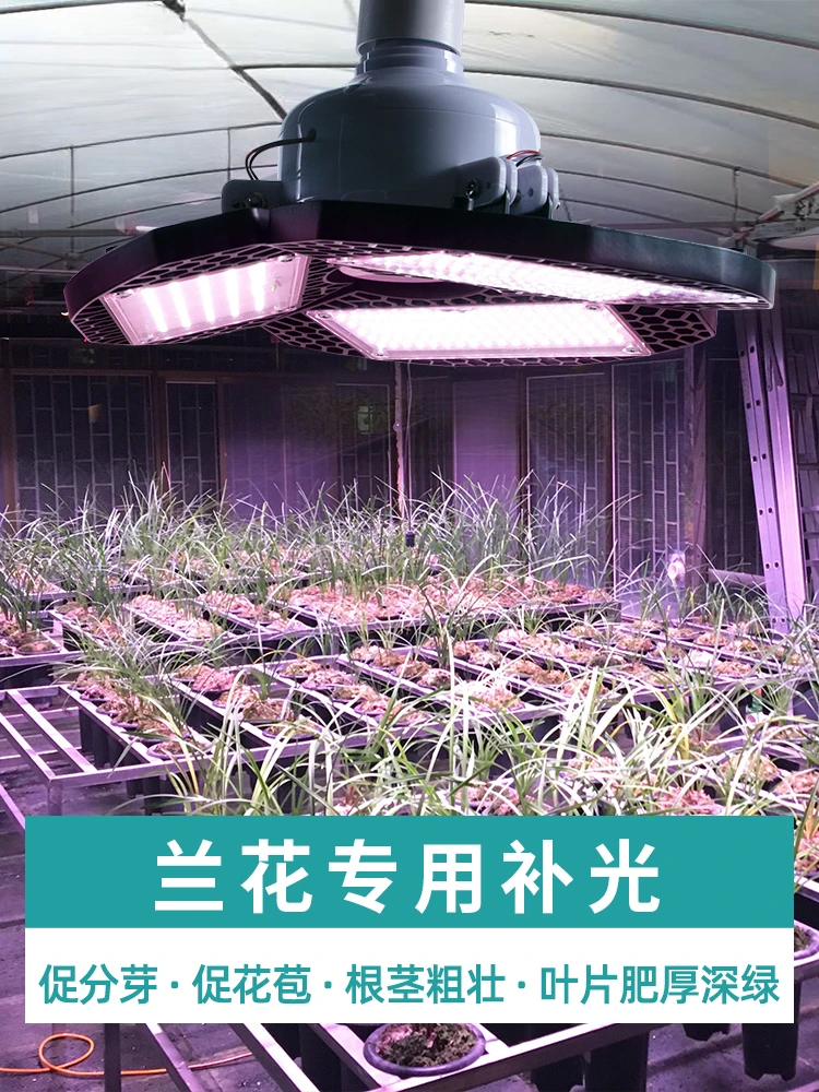 Succulent filling light coloring household foldable hot plant full spectrum LED plant growth light imitation sunlight