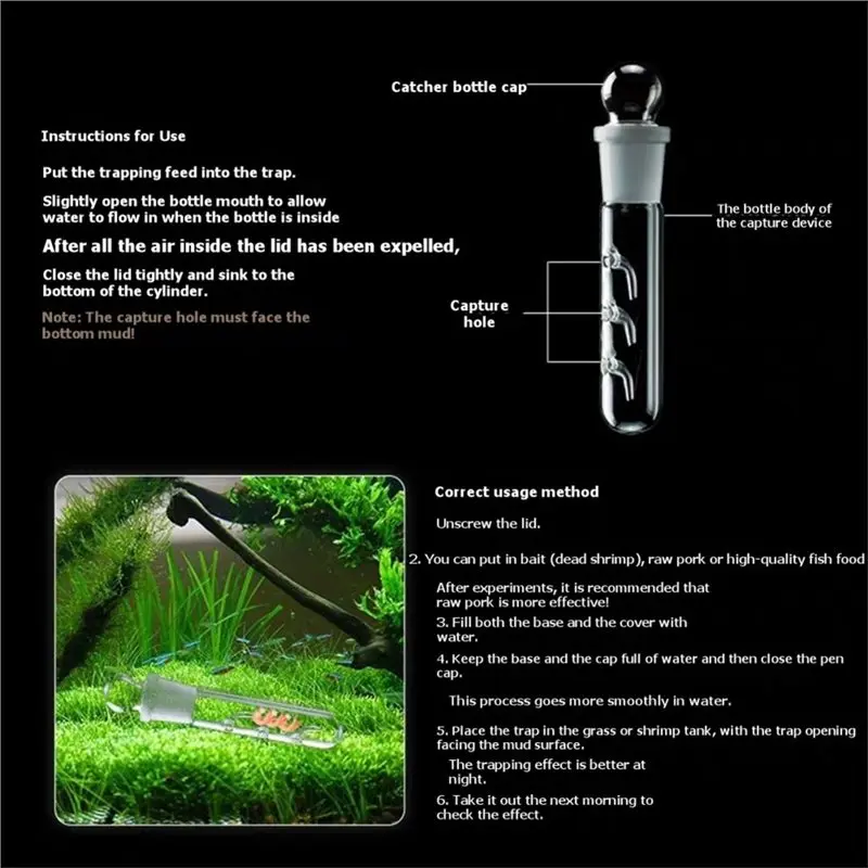 ABRU-Planaria Trap For Aquariums, Transparent Glass With 2, 3, 8 Hole Acrylic Options, Safe For Young Shrimp