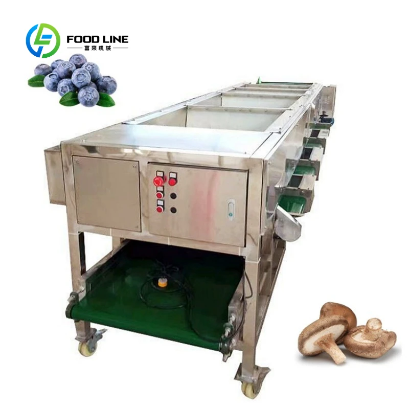 Walnut Mushroom Sorting Machine Blueberry Sorter Machine Vegetable Onion Grading Machine Price