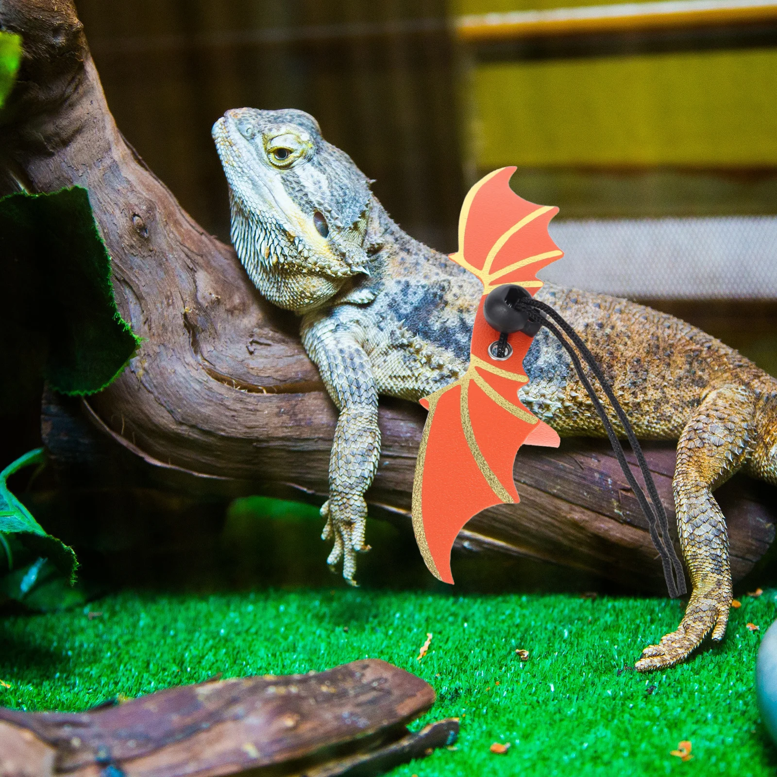 

1Set Lizard Harness and Leash Set Winged Reptile Pet Leash for Small Animals Outdoor Adventure Adjustable Comfortable Crawl Pet