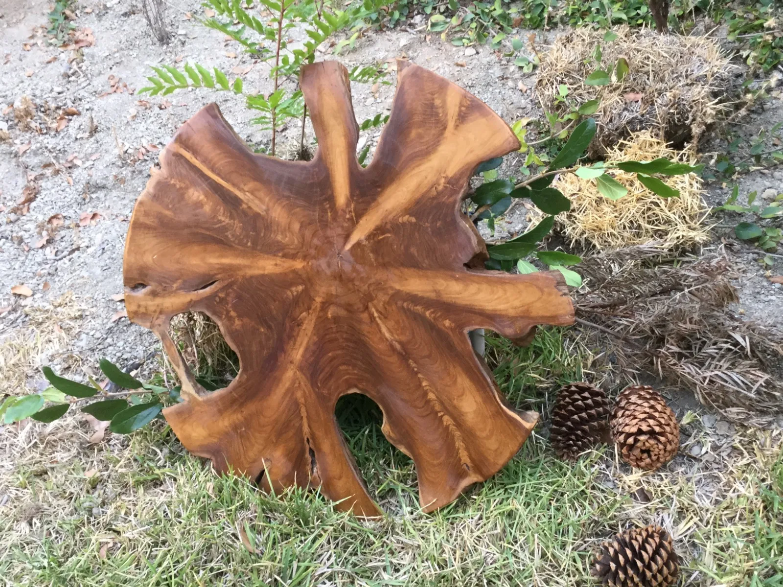 Café TablesNatural Teak Wood Live Edge Table Top for DIY Coffee Side End Table Rustic Style