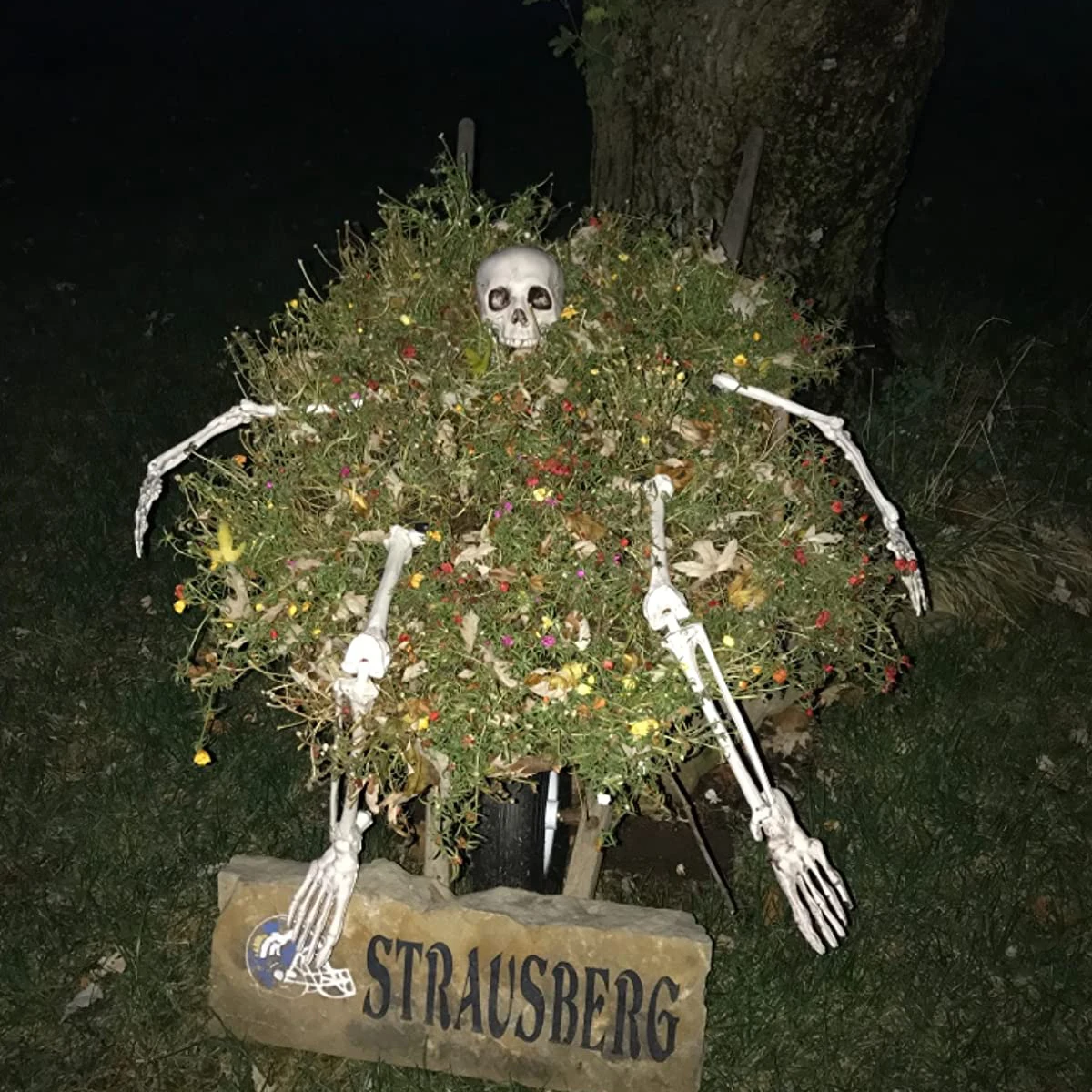 

Realistic Skull Hand Skeleton Halloween Party Garden Lawn Decoration Ghost House Horror Props Home Halloween Decoration