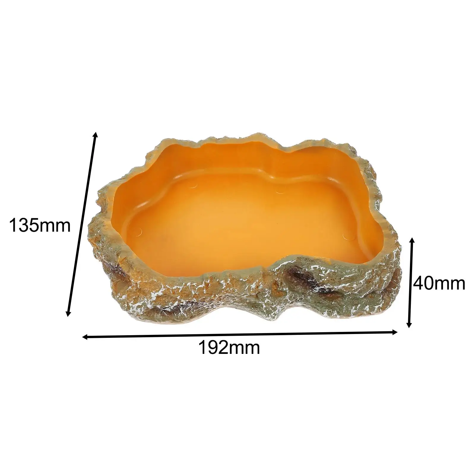 Comedero y bebedero decorativo para reptiles – Tazón de resina para tortugas y geckos