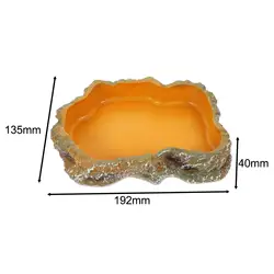 Comedero y bebedero decorativo para reptiles – Tazón de resina para tortugas y geckos