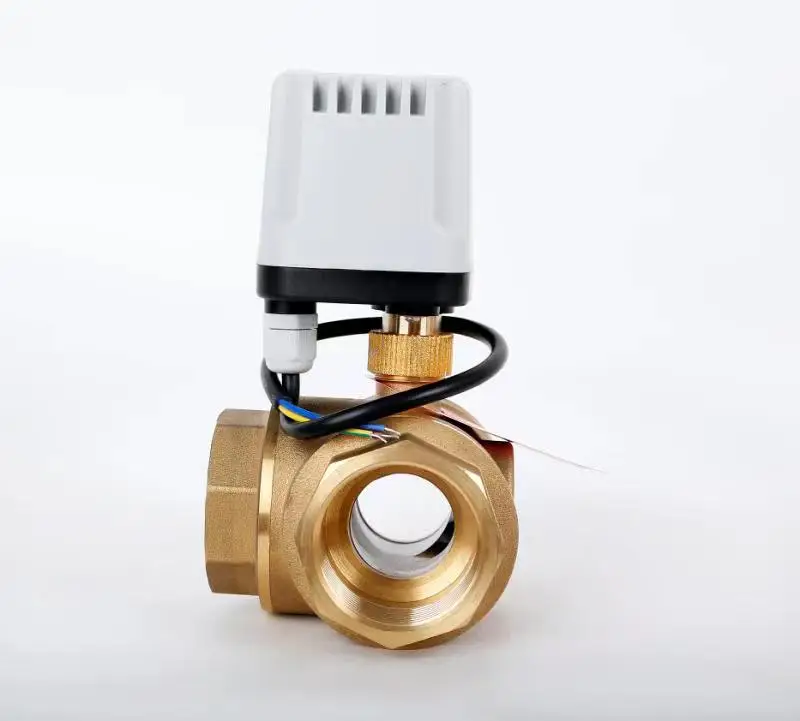 Imagem -02 - Vias Ip65 à Prova Impermeável Água Válvula de Esfera Motorizada 220v 12v 24v 3-wire Controle t l tipo Bronze Válvula de Esfera Elétrica 2