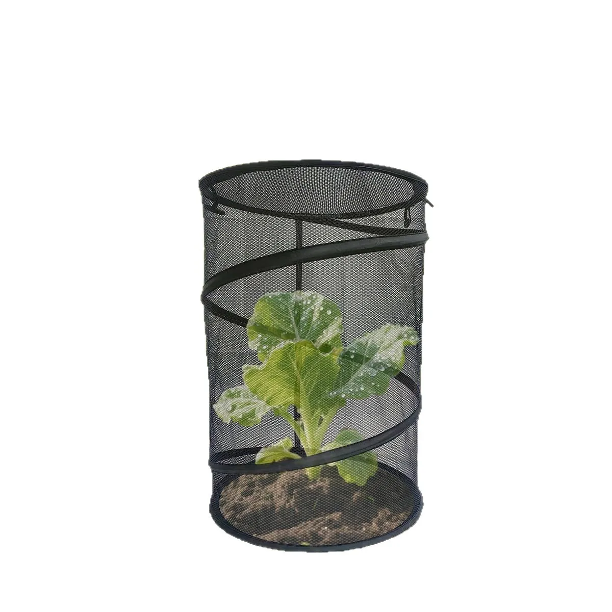 Pop up plant cover insect barrier net vegetable flower protective cover garden plant cover foldable net cover 4ps foldable net