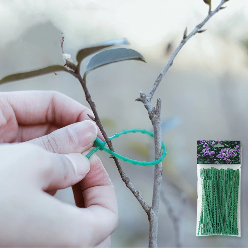 Sujetadores de plástico ajustables para plantas, sujetadores de arbusto reutilizables para jardín, soporte para escalada de árboles, vid, tomate,