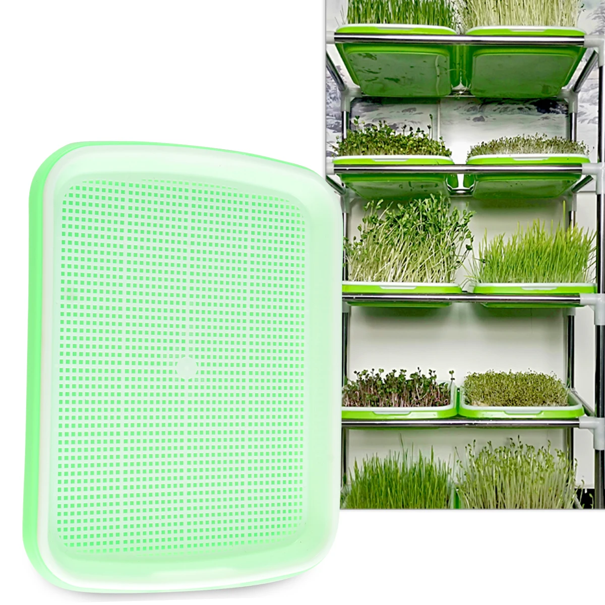

Seedling Tray Set Sprouter Kit Growing Trays Microgreens Soil-Free Food Grade Pp Material Fruits Vegetables Sprouter Tray Set