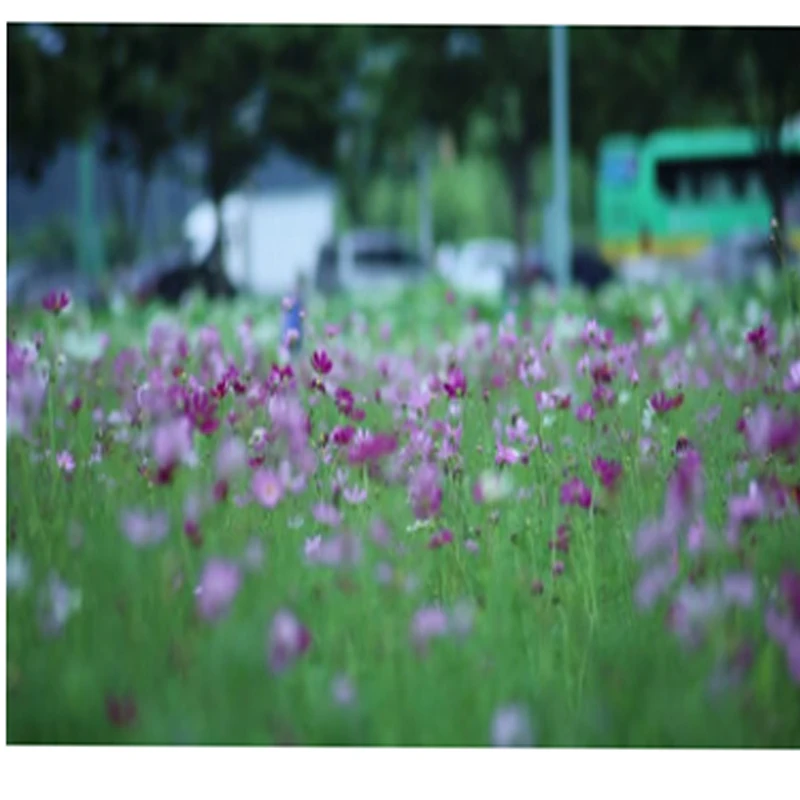 JX سيرفو PDI-4806HB 6.21 كجم البلاستيك والعتاد محرك معزز رقمي ل 1/10 1/8 RC سيارة قارب ثابت الجناح شاحنة عربات التي تجرها الدواب هليكوبتر #1