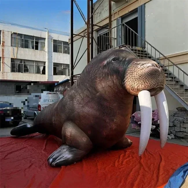 

Vivid Customized Inflatable Seal Balloon,simulation Sea Lion Walrus Model For Ocean Themed Party