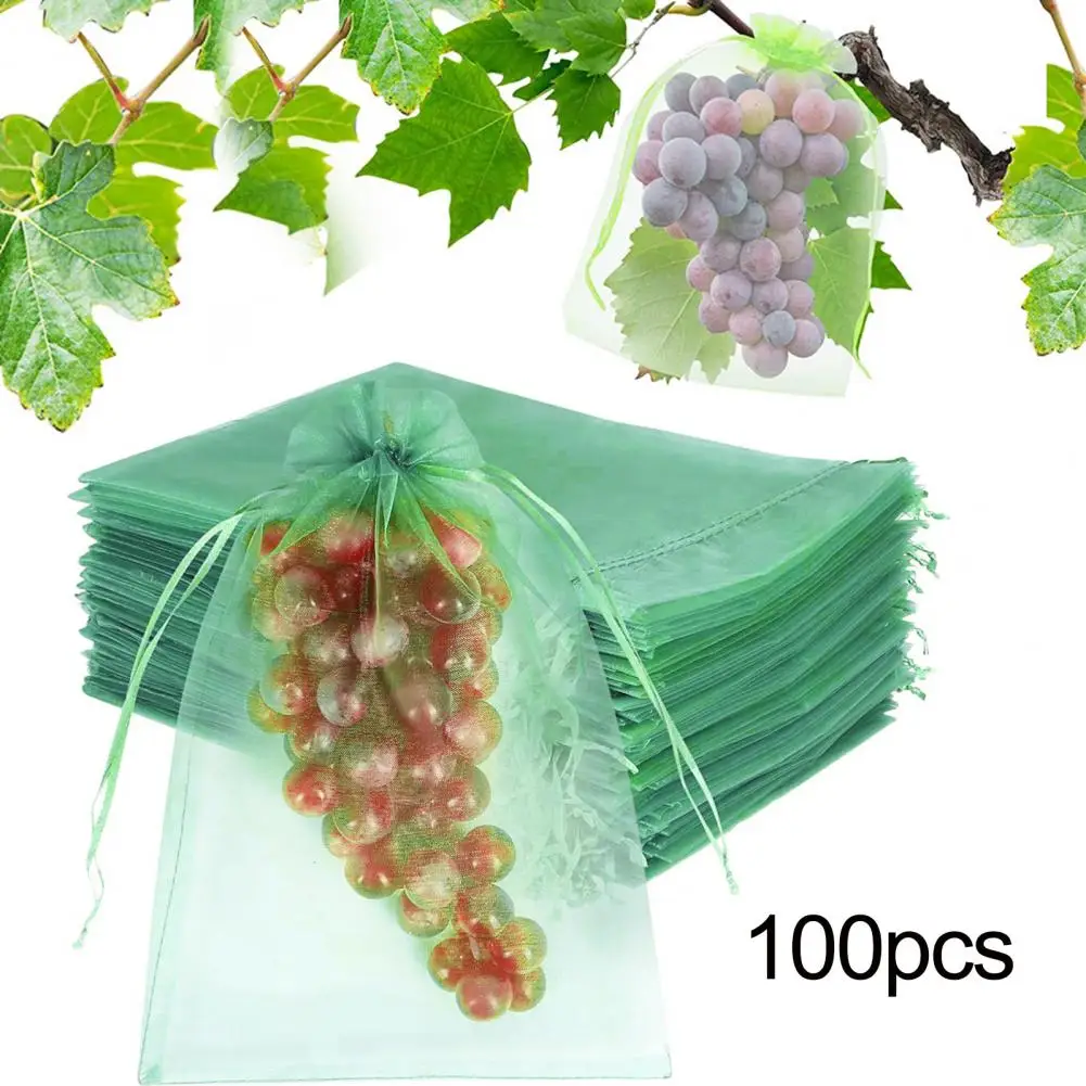 

Grape Vine Covers Mesh Fruit Protectors 100pcs Fruit Protection Mesh Bags Drawstring Netting Cover for Strawberry Blueberry