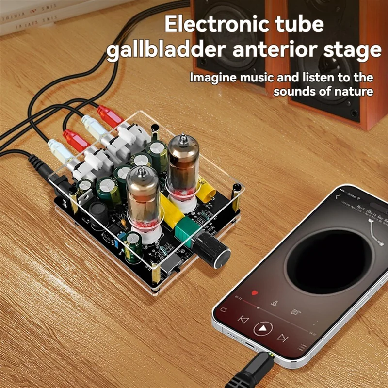 Audio Amplifier 6J3 Vacuum Tub - огляд і ціна Diy Speaker