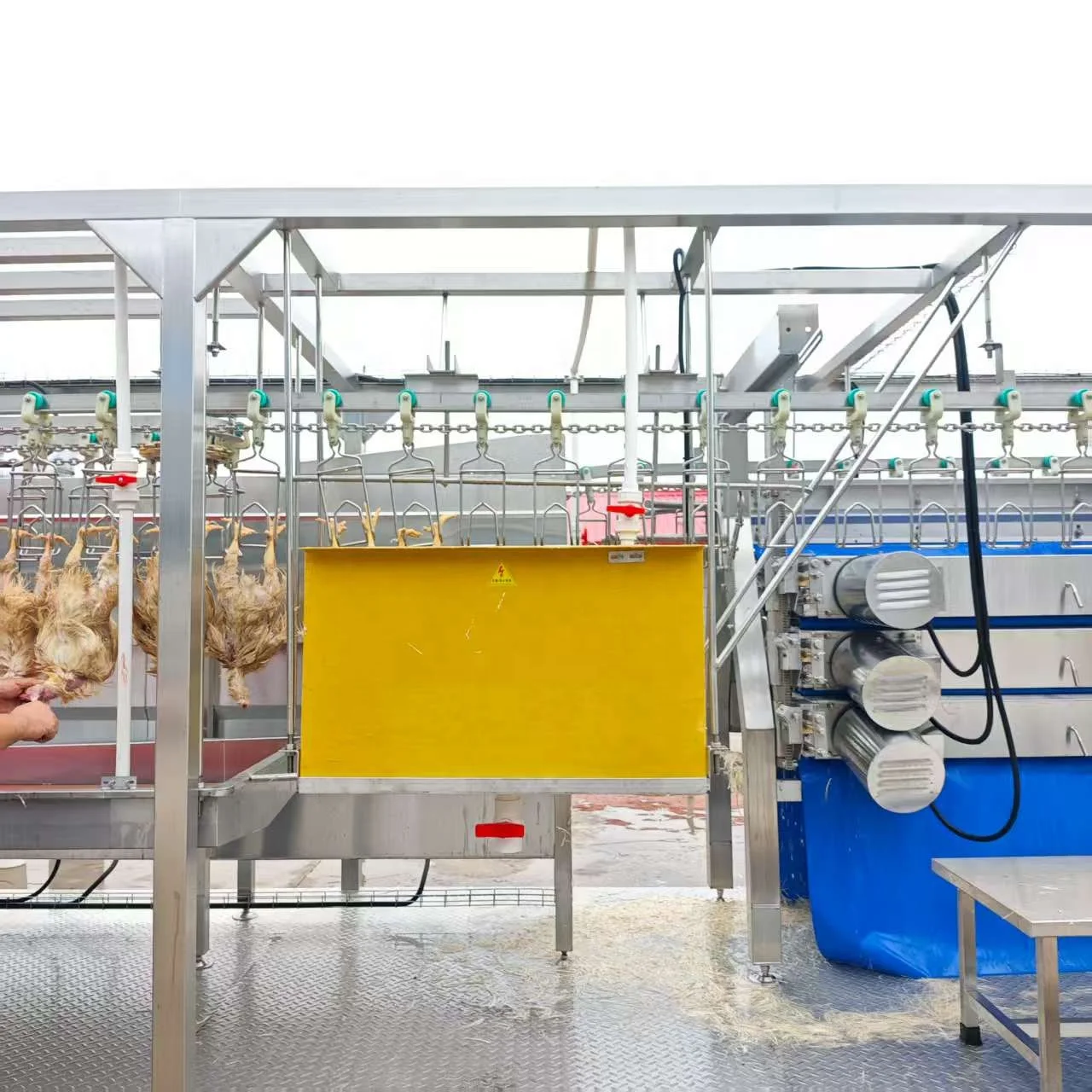 FL Poultry Slaughter Line High‑Speed Chicken Plucking Assembly Line for Large Output Chicken Slaughter Business