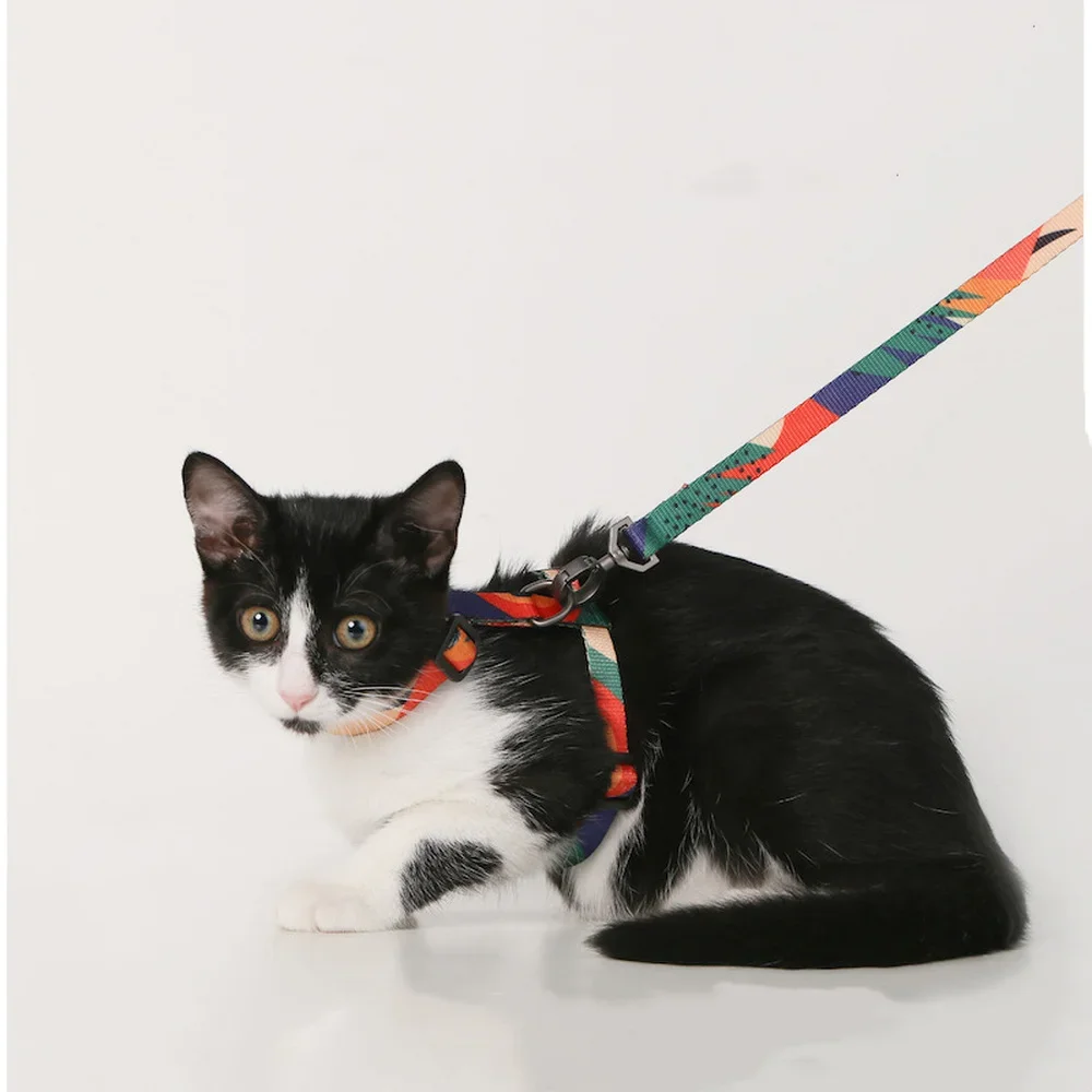 Pidan-Traction Rope Set for Cats, H-Shaped Harness, Walking Rope, Anti-Break, Away Cat Chain, Pet Supplies, Accessories