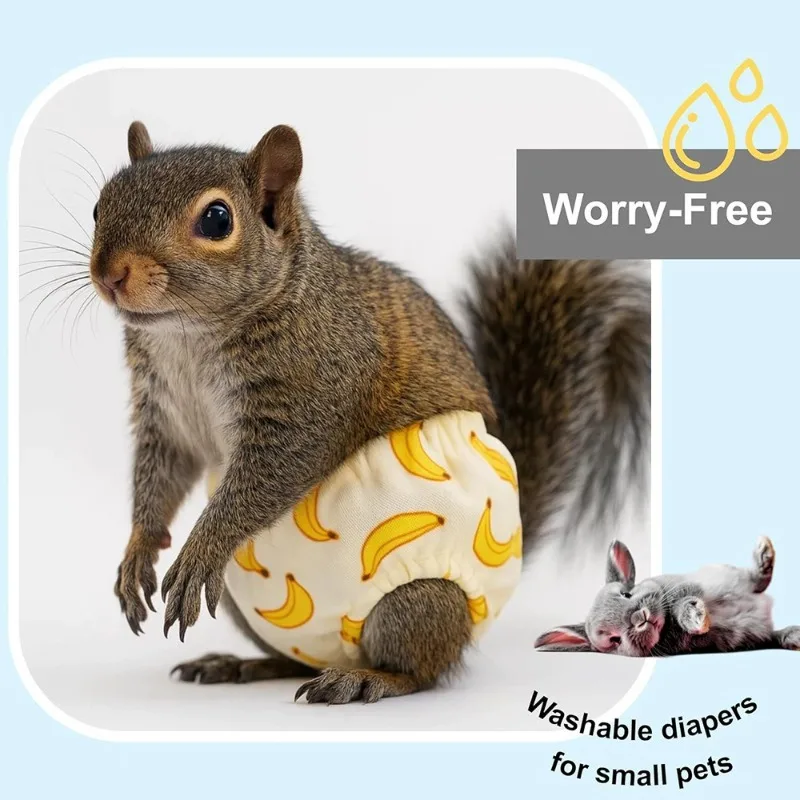 Squirrel Diaper Exchangeable Diaper Going Out Supplies Training Cleaning Absorbent Feeding Pet Supplies