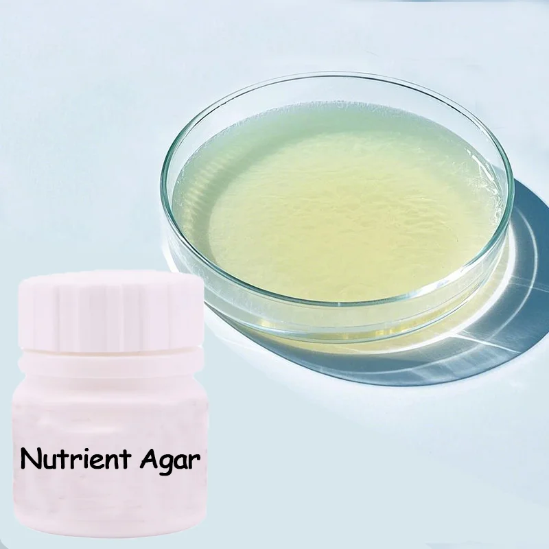 Determination Of Total Bacterial Count On 250g Nutrient Agar And Preservation Of Bacterial Strains On 33g Culture Medium