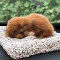 Brown Dog