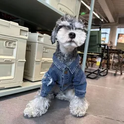 2024 Dog Clothes Spring and Autumn Fashion Denim Coat Schnauzer Pet