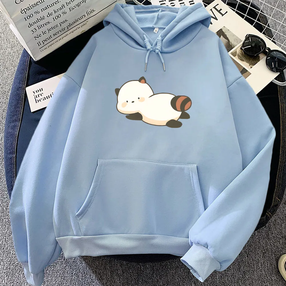 Sweat à Capuche avec Impression Graphique de Raton Laveur pour Homme et Femme, Vêtement Décontracté à Manches sulf, Kawaii