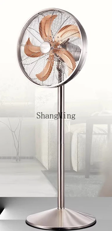 ZYY ventilatore elettrico in metallo dal pavimento al soffitto Conversione di frequenza CC telecomando supporto a risparmio energetico a doppio scopo