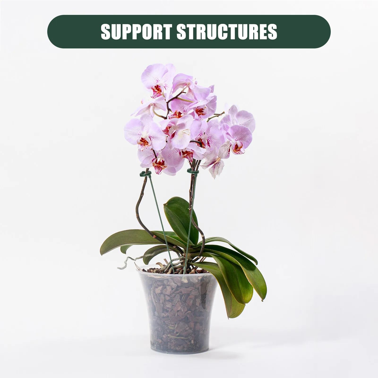 12Pcs Garden Plant Stakes Orchid Support Brackets Plastic Plant Support Frames for Potted Flowers Peony Rose Single Stem Sturdy