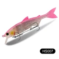 HS007