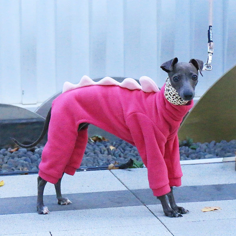 Winter Dog Coat For Small And Medium Breeds Polar Fleece Jacket_voghion.com