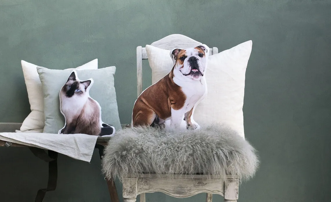 Customised Abstract Personalised Pet Photo Home Decor Cushions DIY Cushion Covers