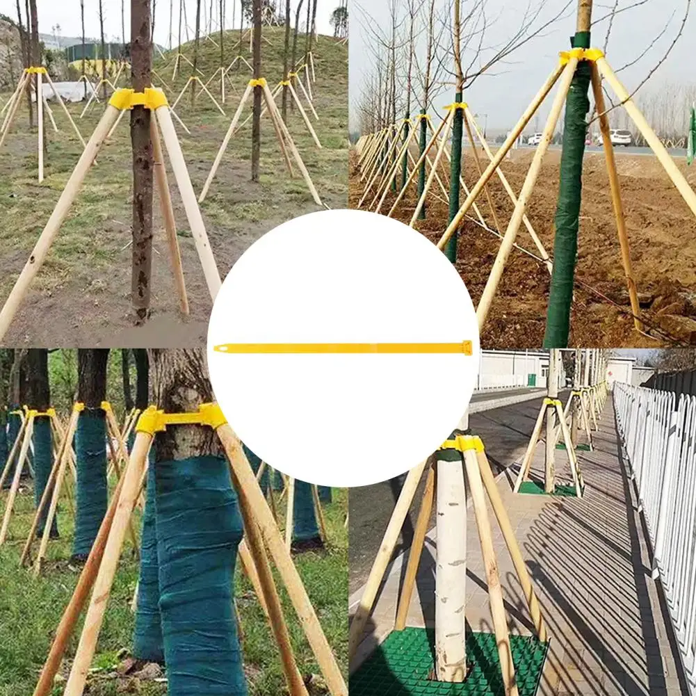 Tree Support Strap 10Pcs Practical Strong Construction Long Lasting  Tree Stake Support Rod Cup Garden Supplies