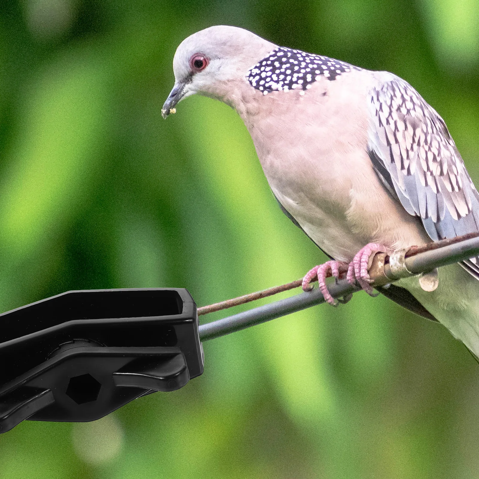 6Pcs Steel Wire Tensioner Durable Garden Tightener Easy to Use Fence Support Accessory Cable Tensioner Tool for Tensioning Cable