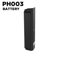 PH003 48V 20AH Battery