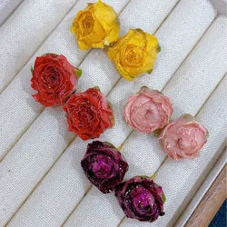 Unique Immortal Rose Flower Earrings Women Epxoy Resin Natural Flower Stud Earrings Dried Flower Elegant Jewelry Handmake Design