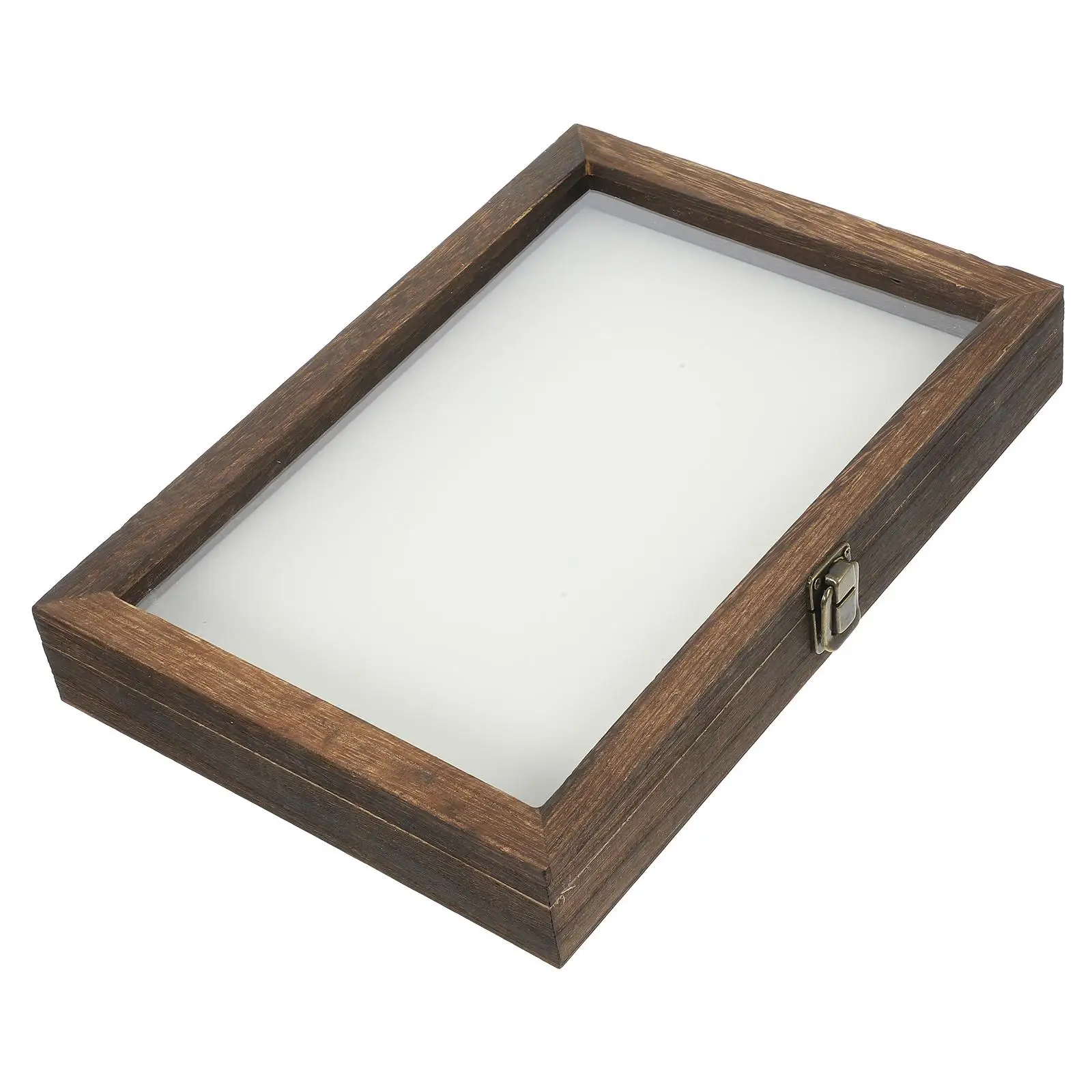 Raupen Insekten Display Box Fall Insekten Nadel Pad Kaffee Flanell Entomologie Kind