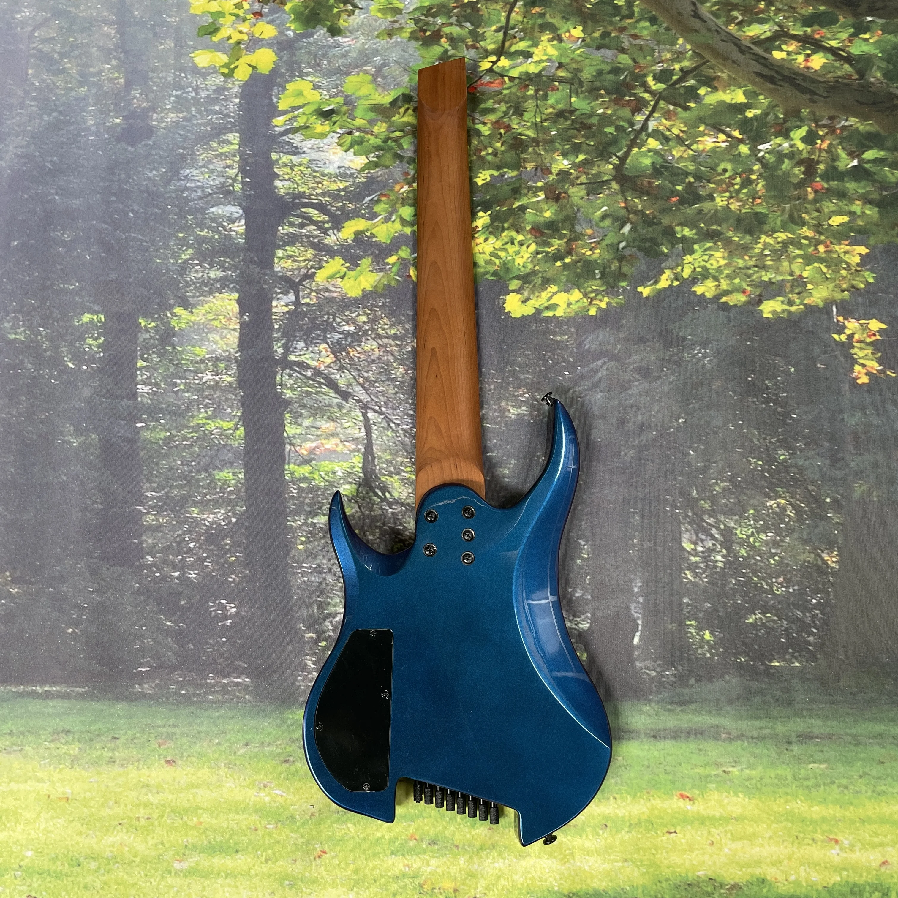 Chameleon 8-string electric guitar black hardware guitars