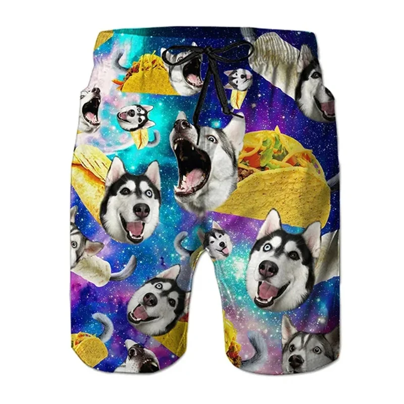 3D Printed Cat Dog Eagle Short Pants For Men Animal Food Pattern Beach Shorts Summer Casual Street Sport Quick Dry Swim Trunks