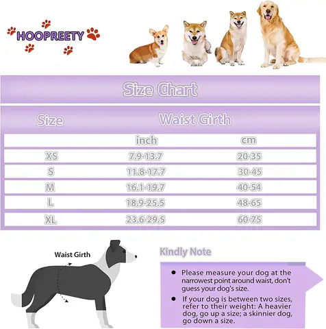 12 best sales बॉक्सर कुत्ता - №4