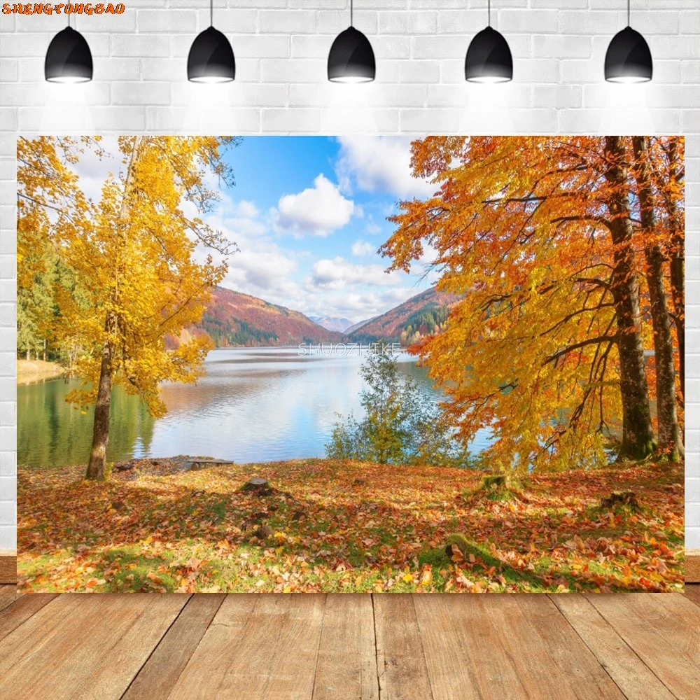 Tła do zdjęć opadłe liście Park Way narożnik drzewo dziecko naturalna jesień malownicze tła fotograficzne do studia fotograficznego