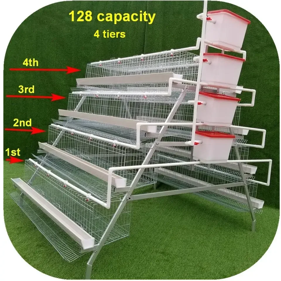 

Egg Layer Chicken Laying Cage Galvanized Automatic a Type Chicken Cages New Product 2020 Provided Poultry Equipment 80 1 Set Xf