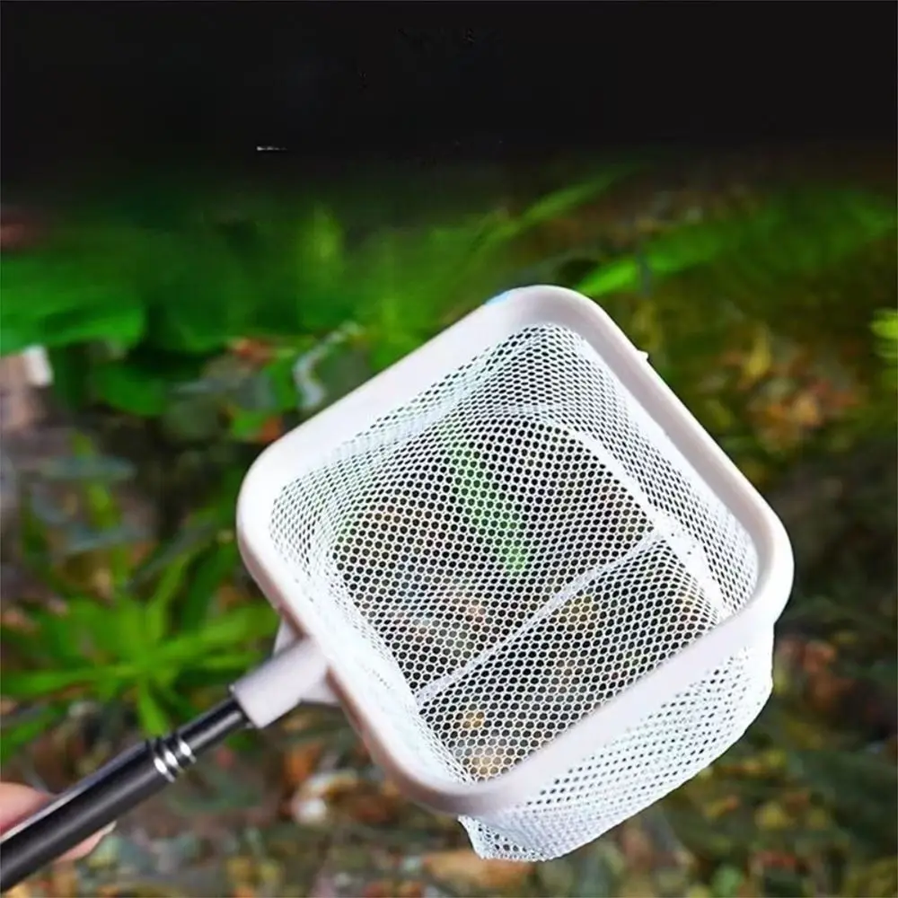With Suction Cup Aquarium Square Fishing Net Extendable Fishing Gear Goldfish Net Long Handle Aquarium Shrimp Net