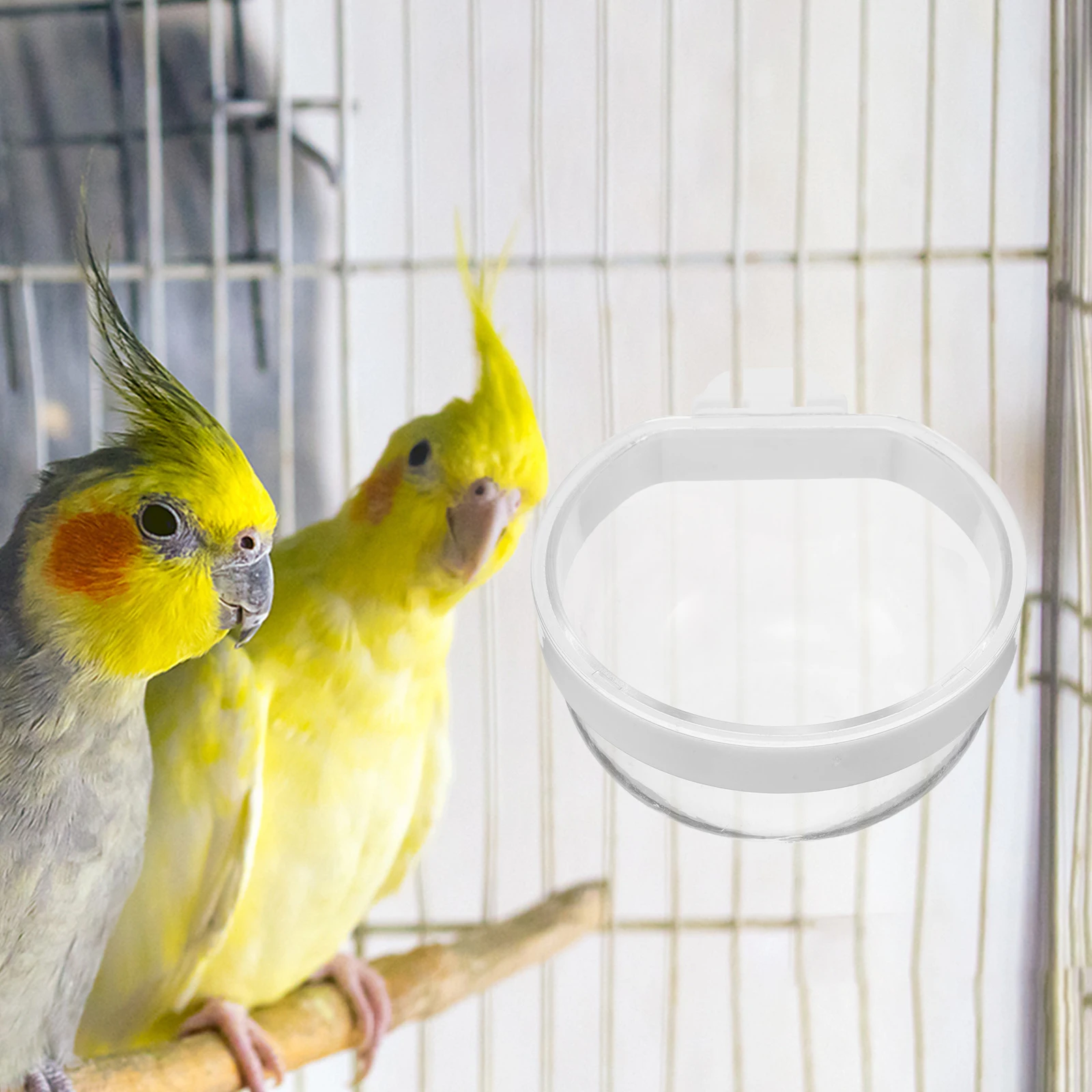 

4 Pcs Parrot Water Feeder Bird Dispenser Bowls for Birds Feeding Dish Cup Birdcage