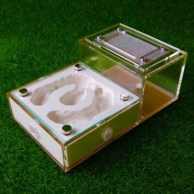 Small Pet Observati… - image