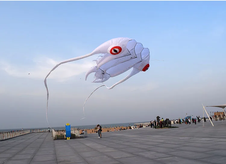 Nylon Soft 3D Trilobite Flying Kite LED Beach Performance by Giant Inflatable Kite