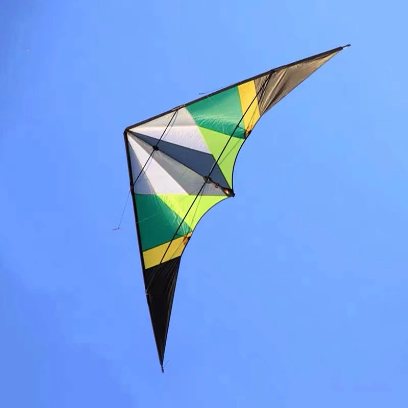 Dual Line Stroke Kite para adultos, Wing Power Kite, velocidades em voz alta, pipas de vento profissional, frete grátis, 255cm