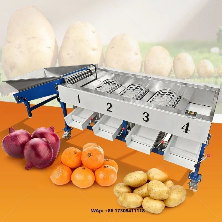 MY Blueberry Sorter Machine Tomato Fruit Sizer Grader Orange Wash Wax Sort Grade Machine for Sale