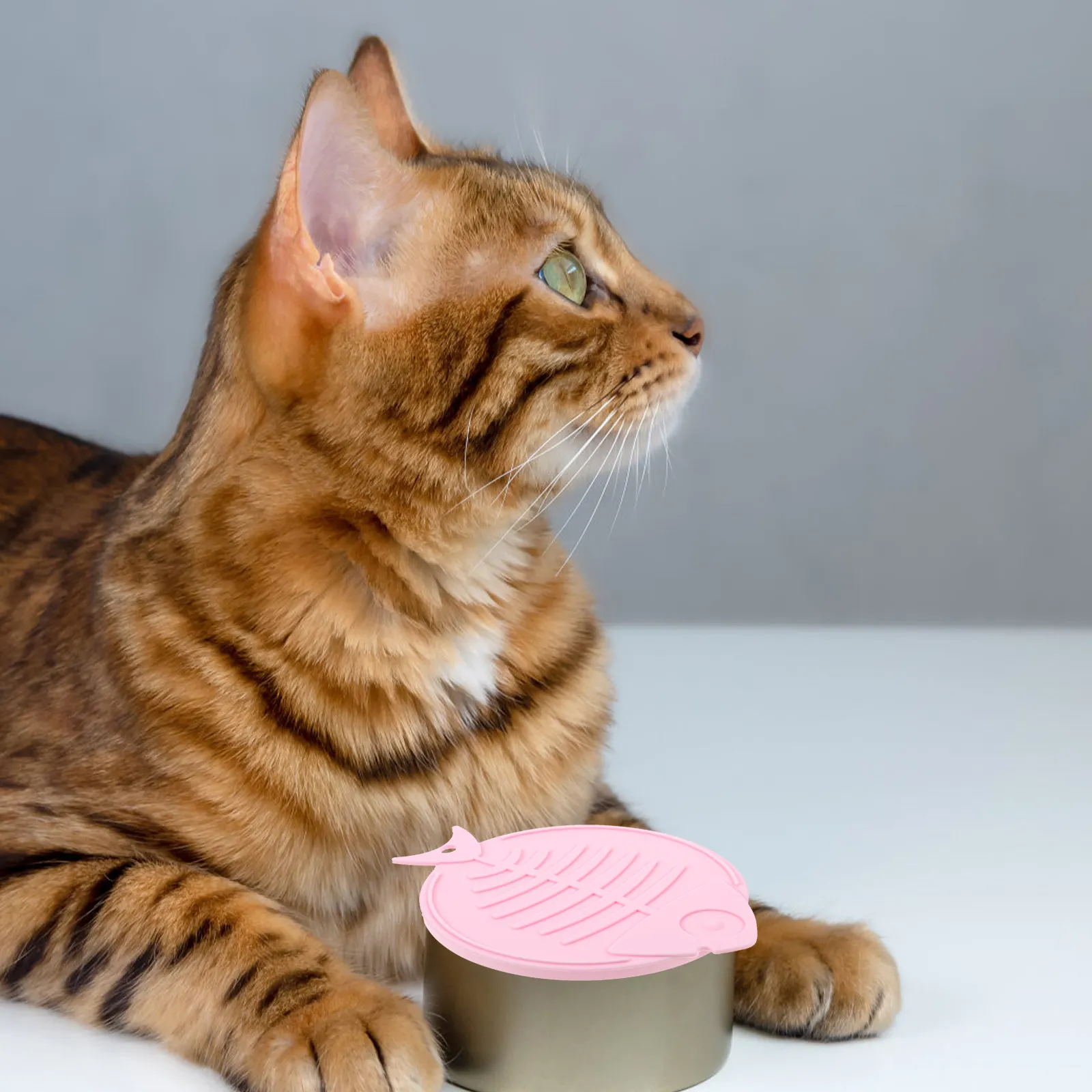 1Set Pet Can Lid Cover Kit Silicone Dog Food Can Cover with Scoop for Wet Food Storage Odor Free Freshness Preserving Pet