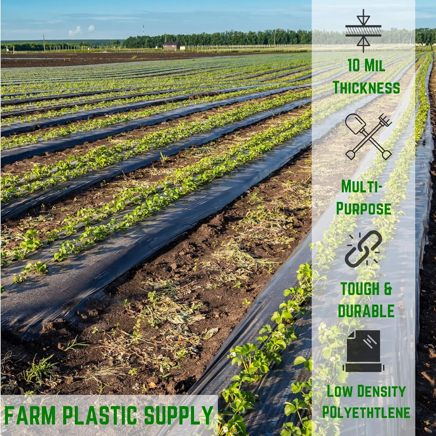 Farm Plastic Supply - Black Plastic Sheeting-10 mil - (20' x 100') Black Plastice