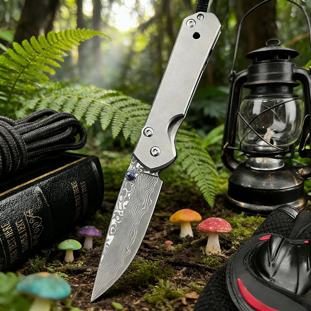 

EDC Tactical High Hardness Damascus Steel Blade Outdoor Folding Knife Wilderness Survival Hunting Knife Titanium Alloy Handle